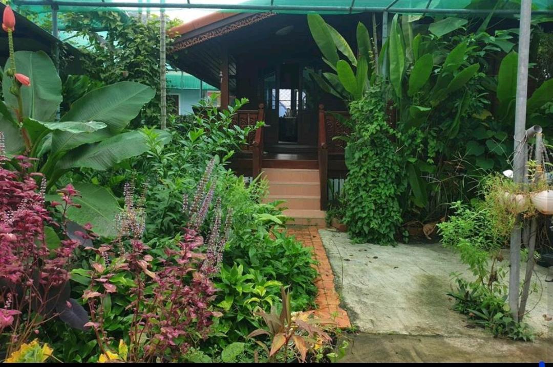 Thai Authentic Wooden House At Kata Dış mekan fotoğraf